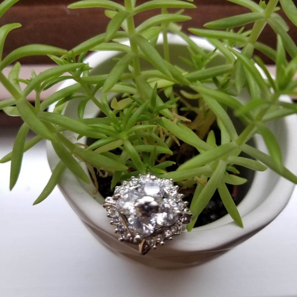 Zirconia Fashion Ring Size 6